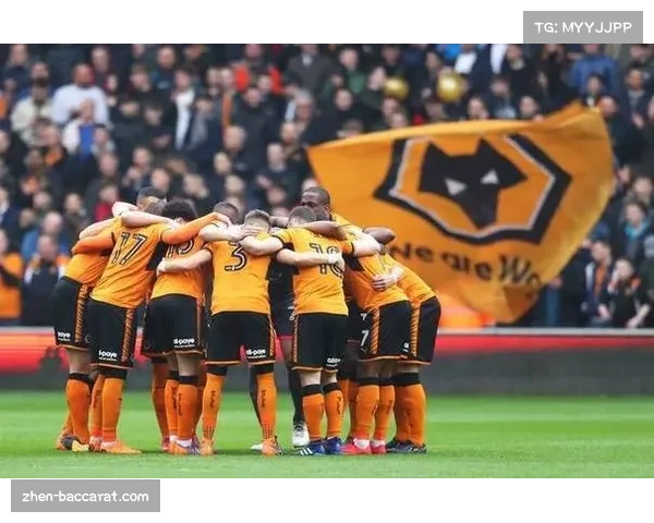 狼队对阵水晶宫 副班长寻求赛季首胜摆脱垫底位置 狼队对阵水晶宫 副班长寻求赛季首胜摆脱垫底位置